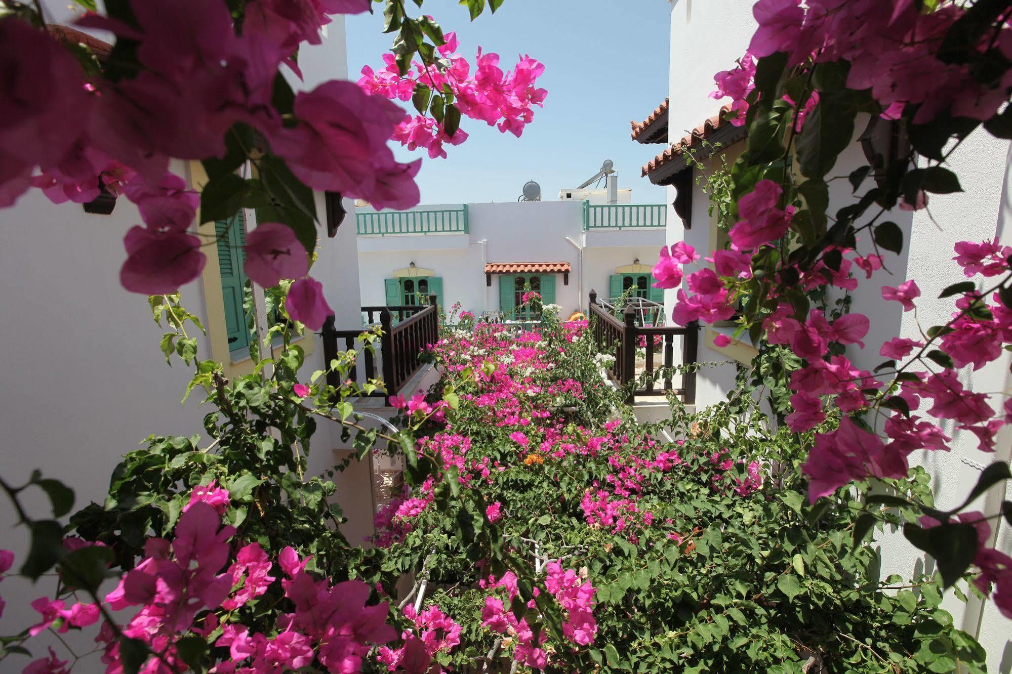 Paul Marie Aparthotel Χερσόνησος Εξωτερικό φωτογραφία
